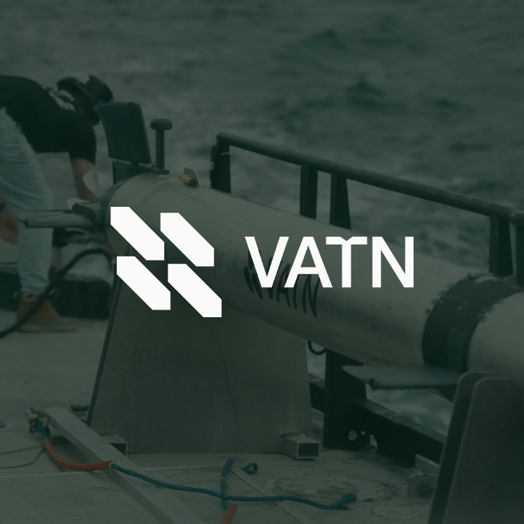 Backswing-Ventures-Portfolio---VATN
